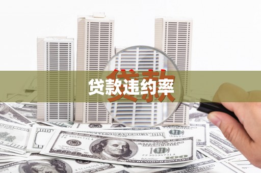 玉田贷款违约率