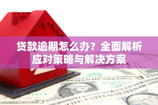 玉田贷款逾期怎么办？全面解析应对策略与解决方案