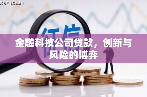 玉田金融科技公司贷款，创新与风险的博弈
