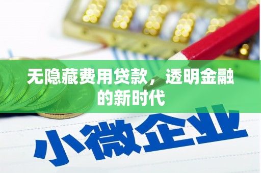 玉田无隐藏费用贷款，透明金融的新时代