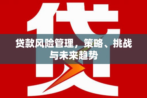 玉田贷款风险管理，策略、挑战与未来趋势