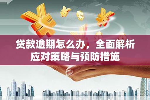 玉田贷款逾期怎么办，全面解析应对策略与预防措施