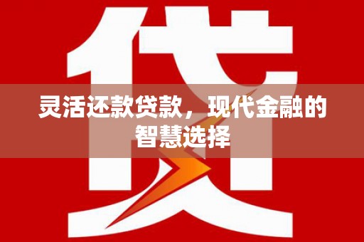 玉田灵活还款贷款，现代金融的智慧选择