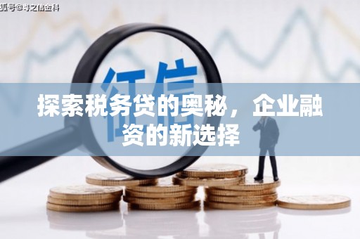 玉田探索税务贷的奥秘，企业融资的新选择