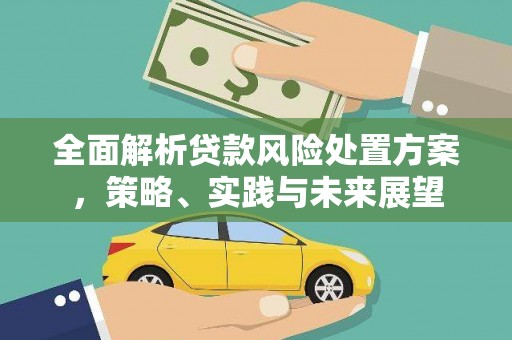 玉田全面解析贷款风险处置方案，策略、实践与未来展望