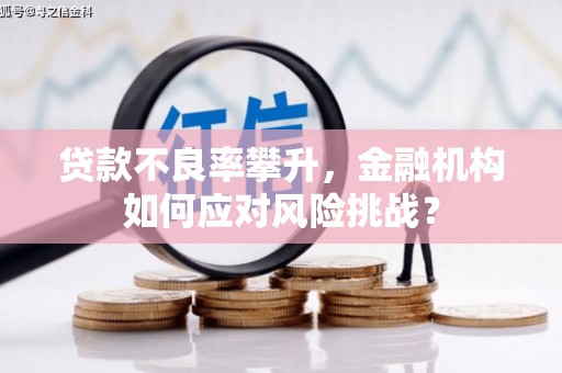 玉田贷款不良率攀升，金融机构如何应对风险挑战？