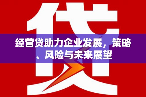 玉田经营贷助力企业发展，策略、风险与未来展望