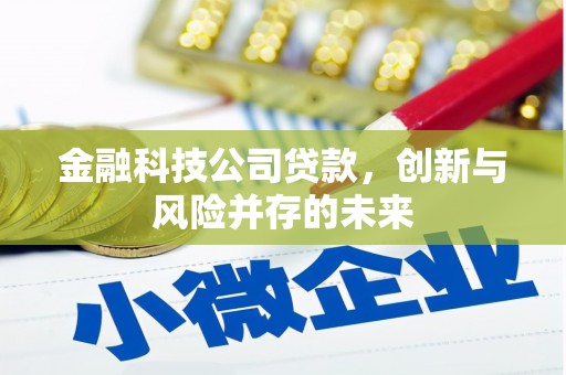 玉田金融科技公司贷款，创新与风险并存的未来
