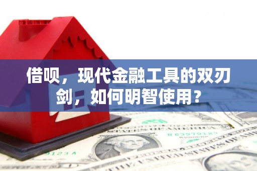 玉田借呗，现代金融工具的双刃剑，如何明智使用？