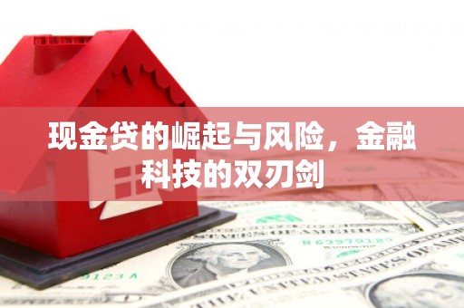 玉田现金贷的崛起与风险，金融科技的双刃剑