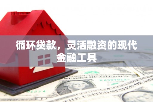 玉田循环贷款，灵活融资的现代金融工具