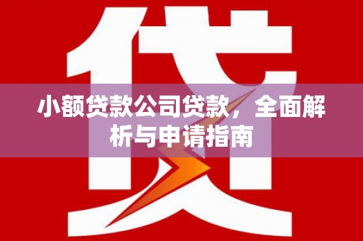 玉田小额贷款公司贷款，全面解析与申请指南