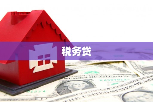 玉田税务贷