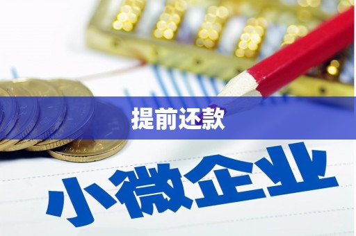 玉田提前还款