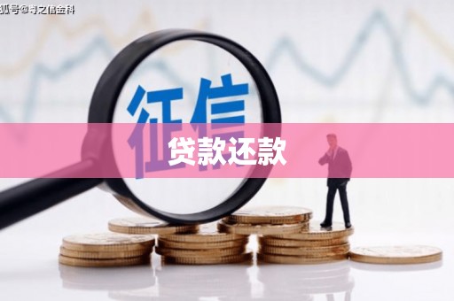 玉田贷款还款