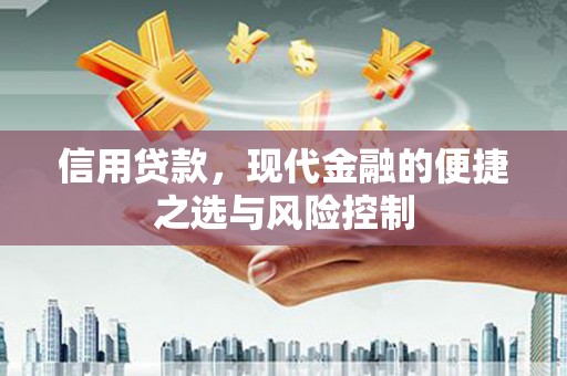 玉田信用贷款，现代金融的便捷之选与风险控制