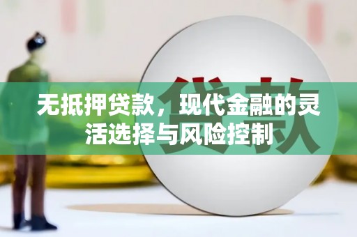 玉田无抵押贷款，现代金融的灵活选择与风险控制