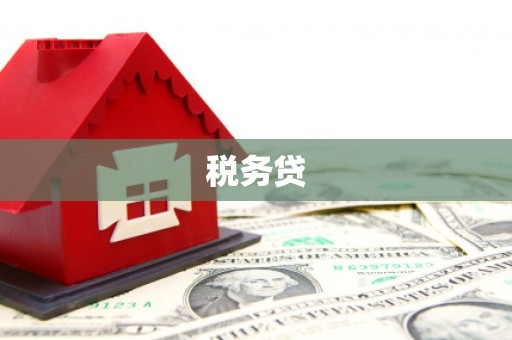 玉田税务贷