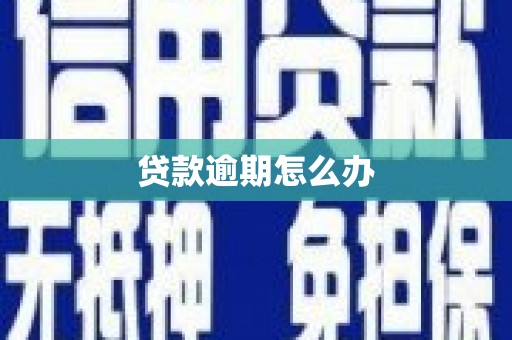 玉田贷款逾期怎么办