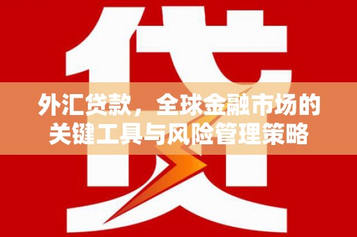玉田外汇贷款，全球金融市场的关键工具与风险管理策略