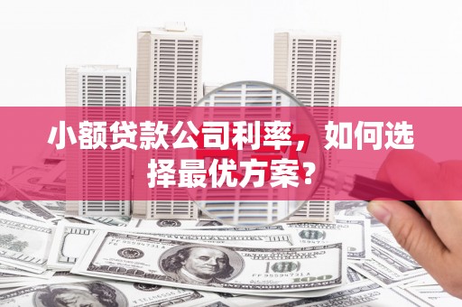 玉田小额贷款公司利率，如何选择最优方案？