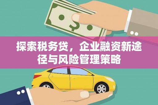玉田探索税务贷，企业融资新途径与风险管理策略