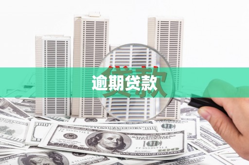 玉田逾期贷款