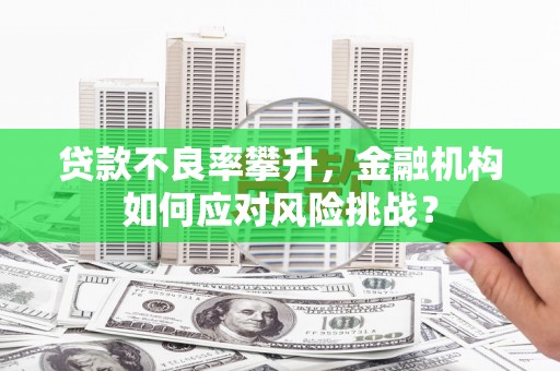 玉田贷款不良率攀升，金融机构如何应对风险挑战？