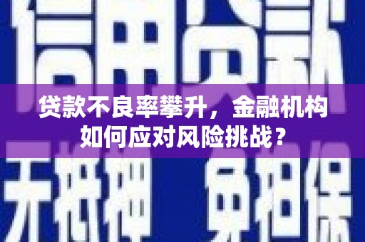 玉田贷款不良率攀升，金融机构如何应对风险挑战？