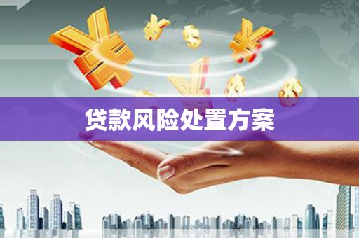 玉田贷款风险处置方案