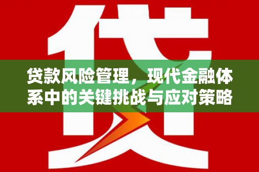 玉田贷款风险管理，现代金融体系中的关键挑战与应对策略