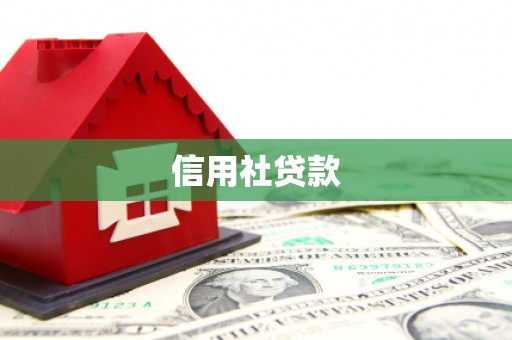 玉田信用社贷款
