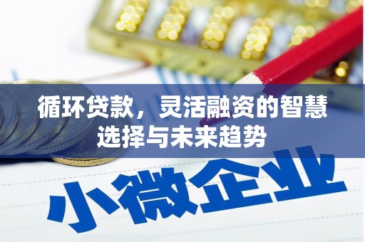 玉田循环贷款，灵活融资的智慧选择与未来趋势
