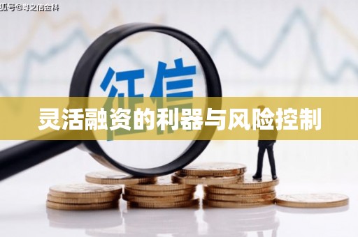 玉田灵活融资的利器与风险控制