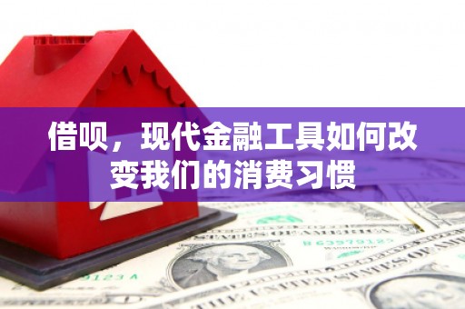 玉田借呗，现代金融工具如何改变我们的消费习惯