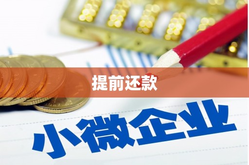 玉田提前还款