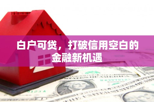 玉田白户可贷，打破信用空白的金融新机遇