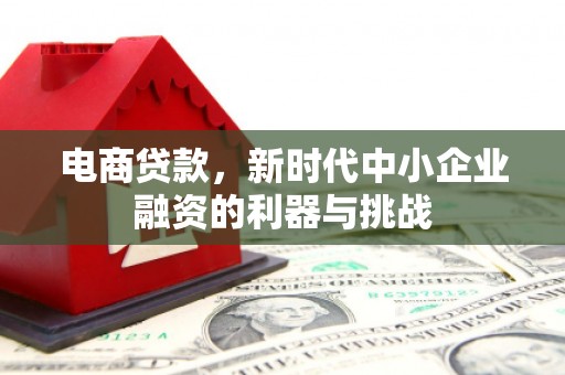 玉田电商贷款，新时代中小企业融资的利器与挑战