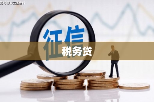 玉田税务贷