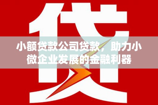 玉田小额贷款公司贷款，助力小微企业发展的金融利器