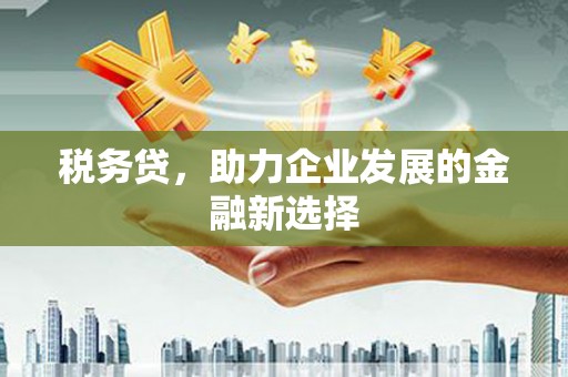 玉田税务贷，助力企业发展的金融新选择