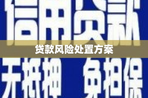 玉田贷款风险处置方案