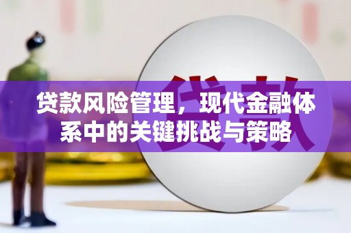 玉田贷款风险管理，现代金融体系中的关键挑战与策略