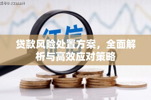 玉田贷款风险处置方案，全面解析与高效应对策略