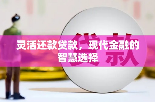 玉田灵活还款贷款，现代金融的智慧选择