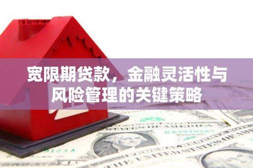 玉田宽限期贷款，金融灵活性与风险管理的关键策略