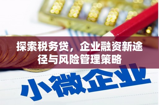 玉田探索税务贷，企业融资新途径与风险管理策略