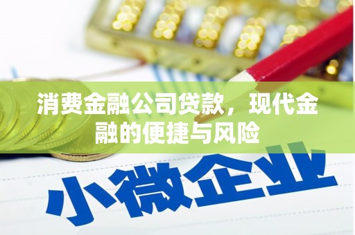 玉田消费金融公司贷款，现代金融的便捷与风险