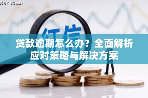 玉田贷款逾期怎么办？全面解析应对策略与解决方案