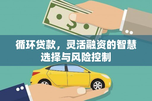 玉田循环贷款，灵活融资的智慧选择与风险控制